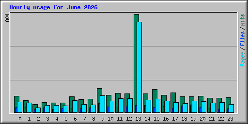 Hourly usage for June 2026